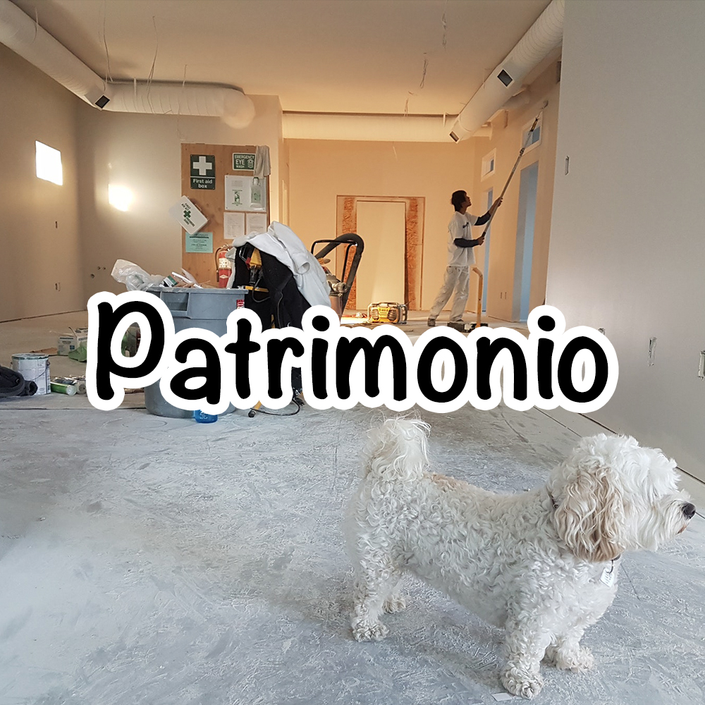 patrimonio